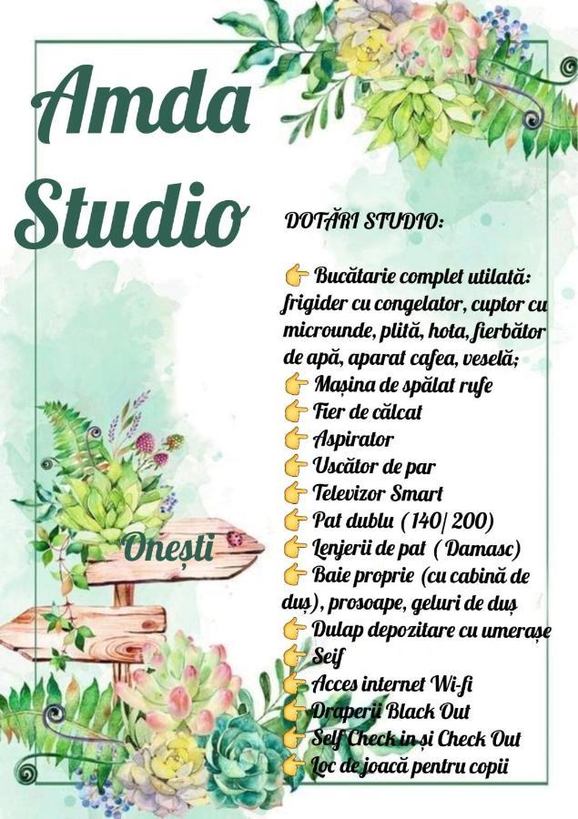 Amda Studio オネシュティ エクステリア 写真